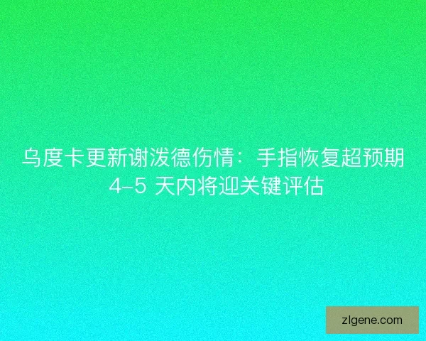 乌度卡更新谢泼德伤情：手指恢复超预期 4-5 天内将迎关键评估