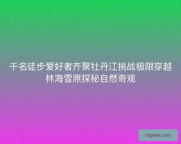 千名徒步爱好者齐聚牡丹江挑战极限穿越林海雪原探秘自然奇观 千名徒步爱好者齐聚牡丹江挑战极限穿越林海雪原探秘自然奇观