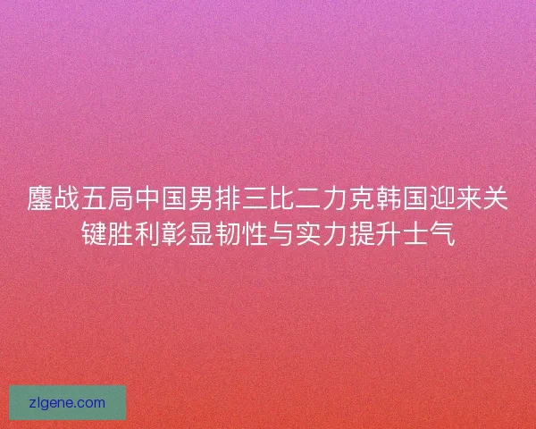鏖战五局中国男排三比二力克韩国迎来关键胜利彰显韧性与实力提升士气