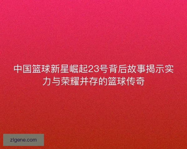 中国篮球新星崛起23号背后故事揭示实力与荣耀并存的篮球传奇 中国篮球新星崛起23号背后故事揭示实力与荣耀并存的篮球传奇