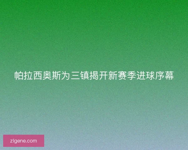 帕拉西奥斯为三镇揭开新赛季进球序幕 帕拉西奥斯为三镇揭开新赛季进球序幕