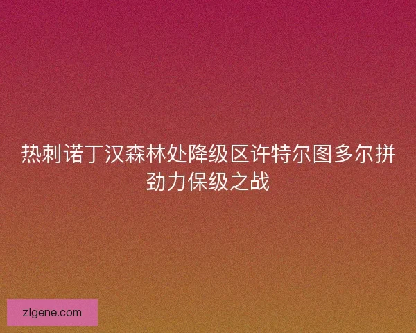 热刺诺丁汉森林处降级区许特尔图多尔拼劲力保级之战 热刺诺丁汉森林处降级区许特尔图多尔拼劲力保级之战