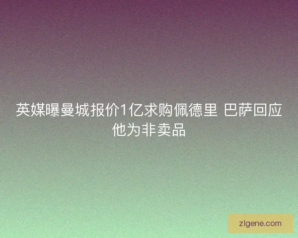 英媒曝曼城报价1亿求购佩德里 巴萨回应他为非卖品